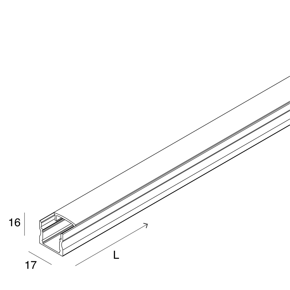 PROFILED: PROF. H.16 2M+OP.+2TEST+4CLIPS